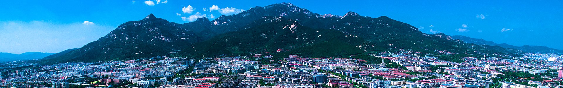 欢迎登录山东农业大学