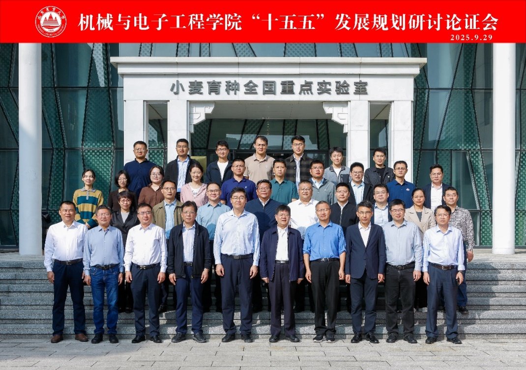 为系统谋划十大滚球新手怎么玩未来五年