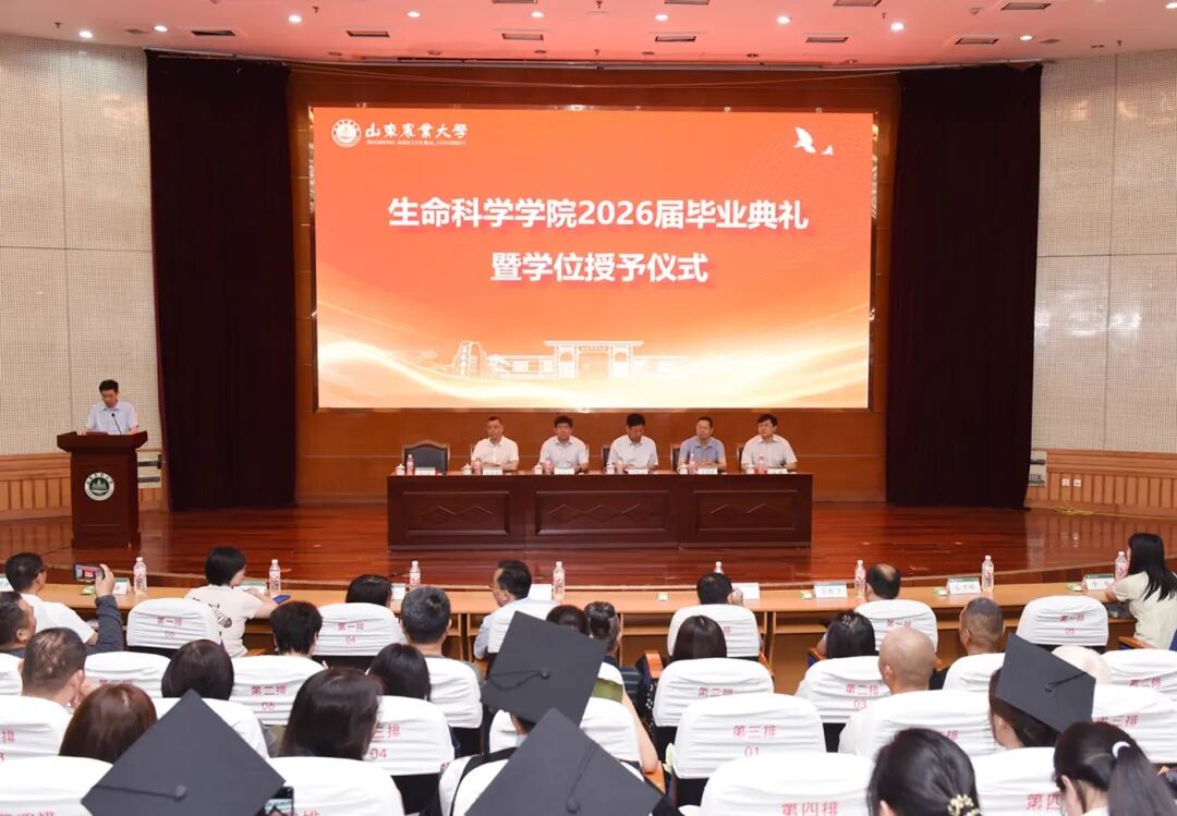 本站按公开材料组织页面