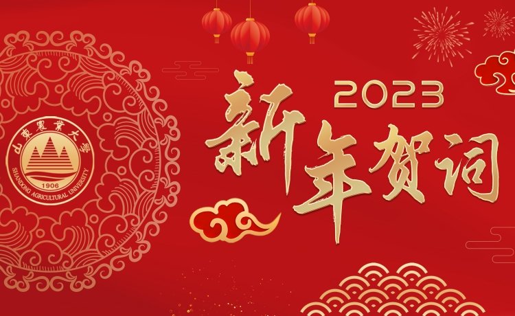 奋楫扬帆正当时 勇毅前行创一流
