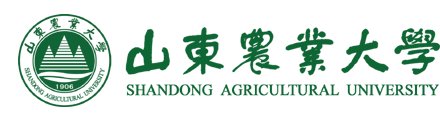 十大滚球app官方版