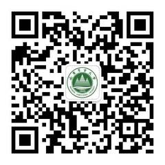 12月19日
