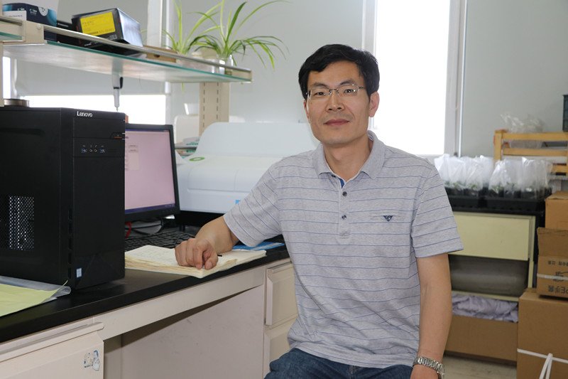 正文适合核对表述