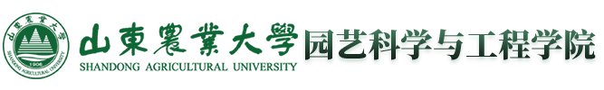 十大滚球app官方版