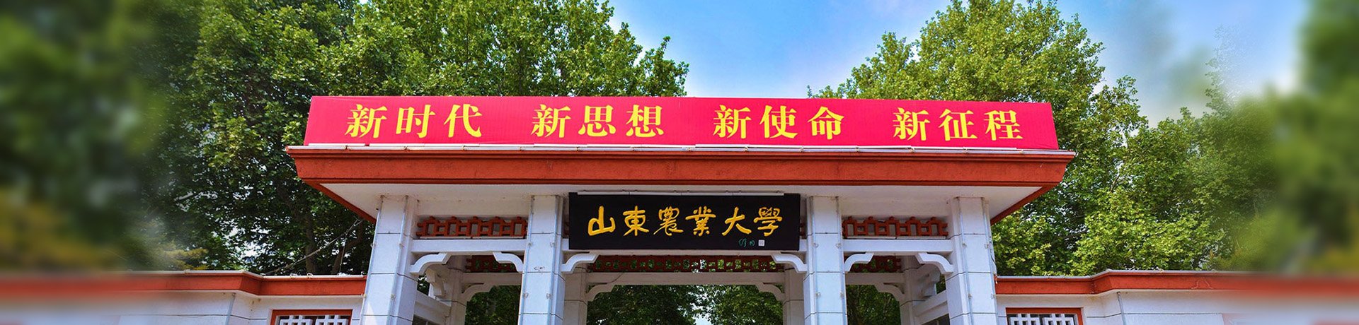 聚焦教学提质 筑牢育人根基