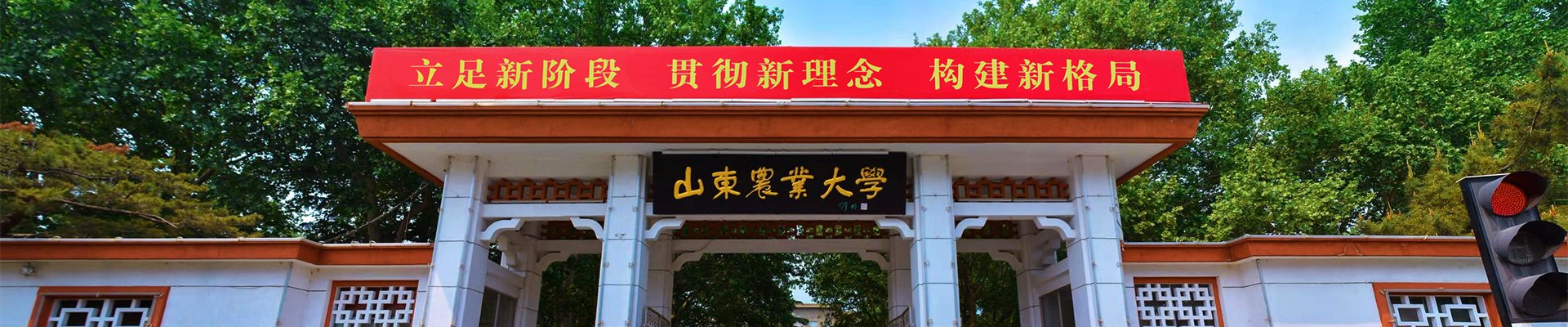 十大滚球app官方版主页