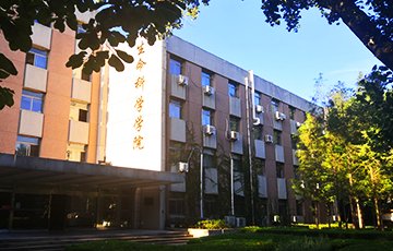 十大滚球app官方版